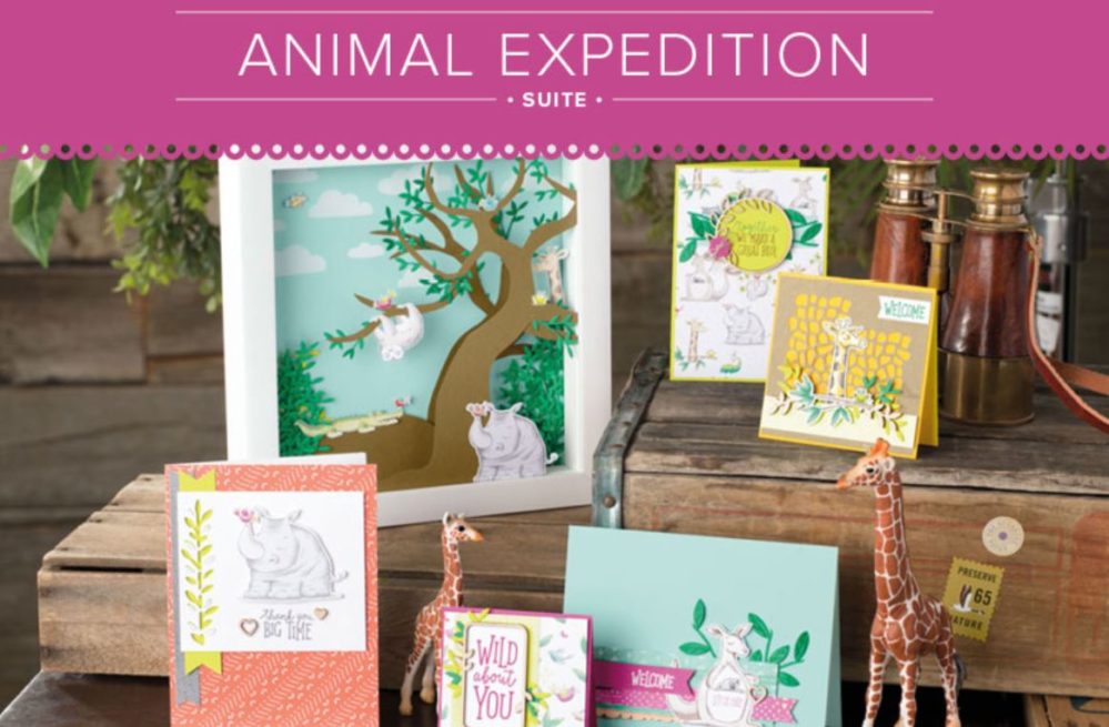 Animal Expedition Suite