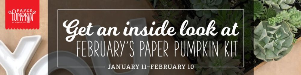 Paper Pumpkin Feb 2019 Inside Look Banner