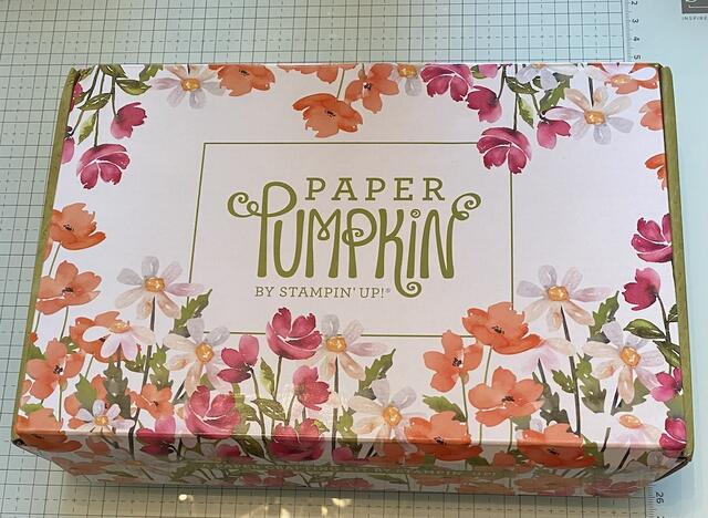 Paper Pumpkin July 2024 Box