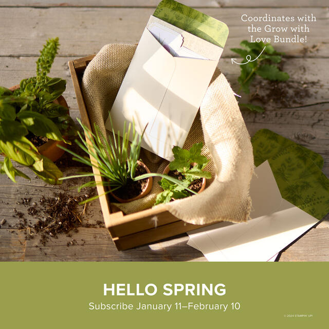 Paper Pumpkin February 2025 Hello Spring